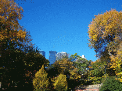 Genomen in het Central Park